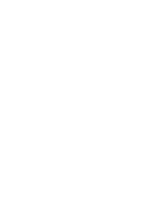 LION D3
